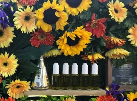 品牌形象設計科顏氏玩起了裝置藝術